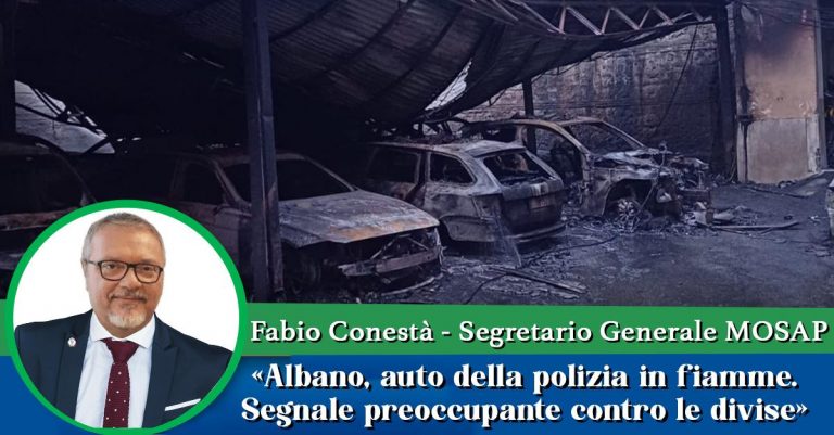 WhatsApp Image 2025-02-24 at 10.10.31