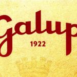 galup2025