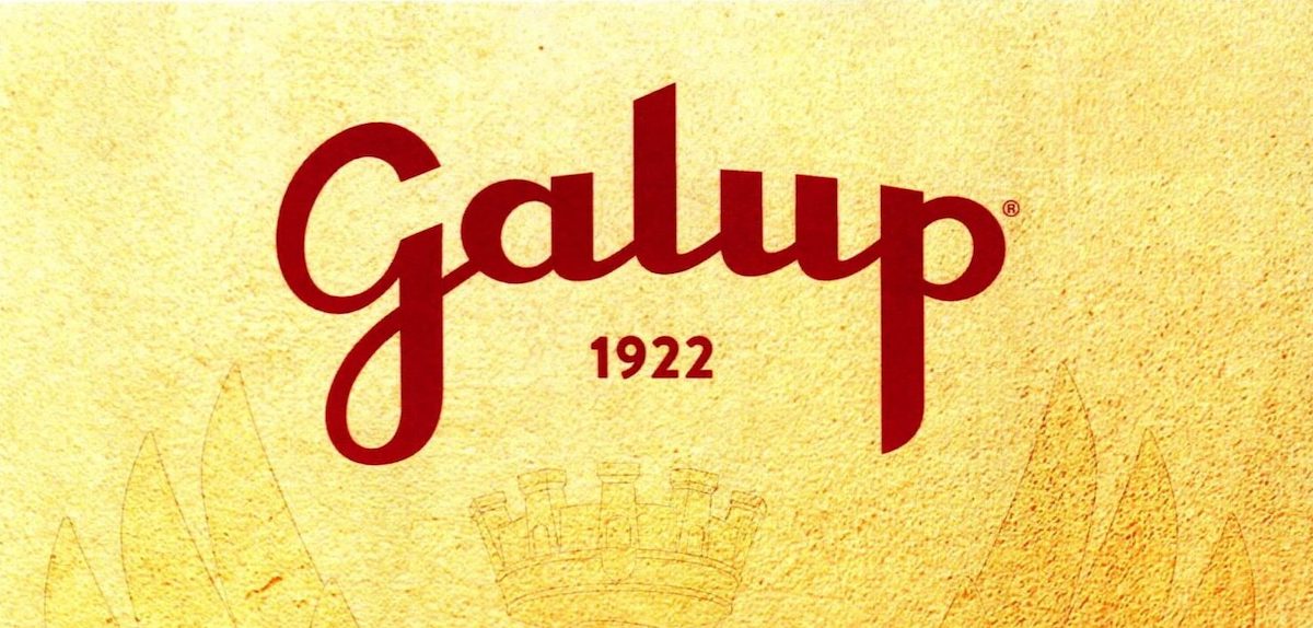 galup2025